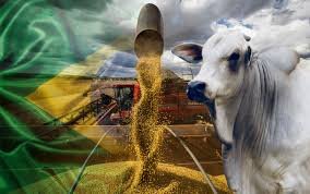 AGRO B