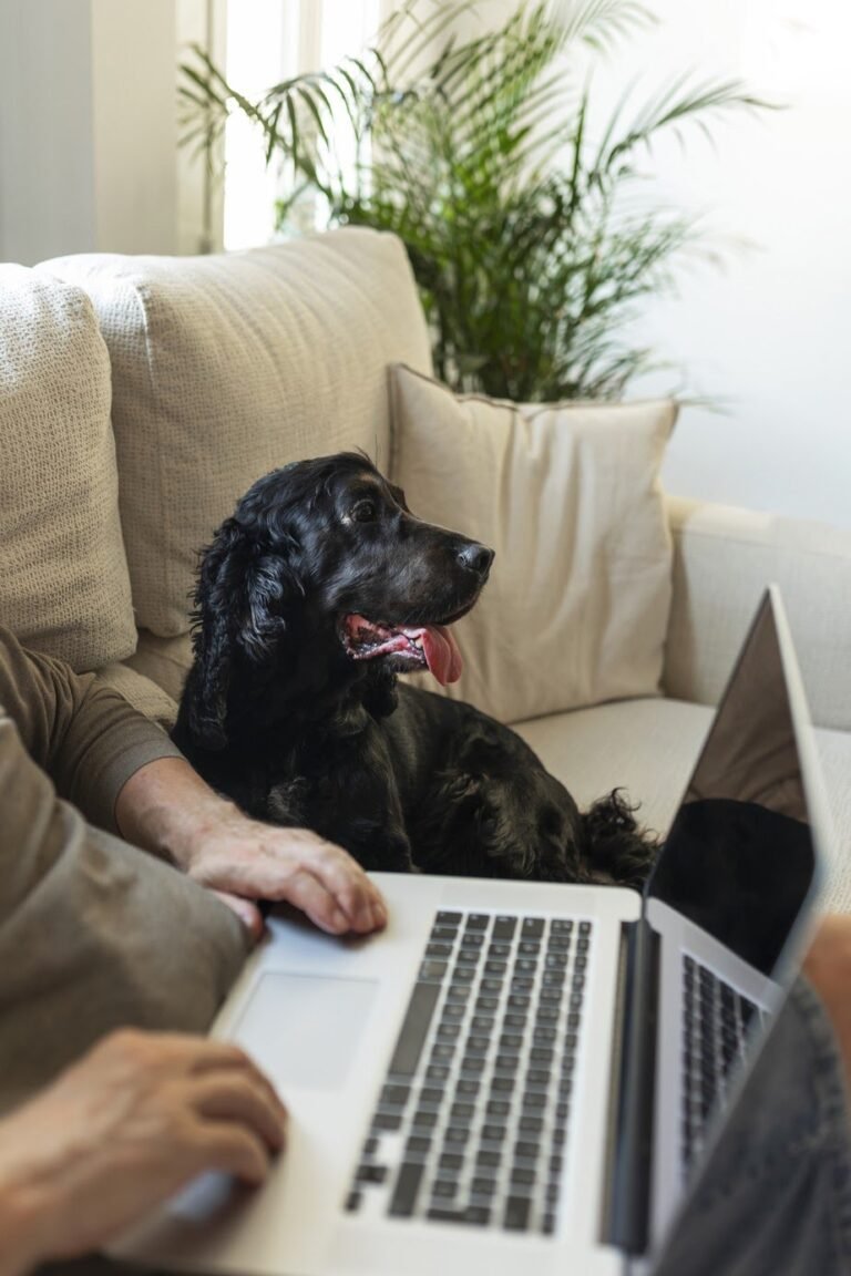 side-view-senior-man-with-dog-couch