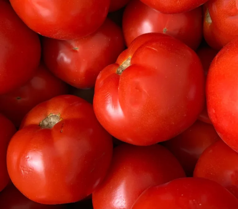 tomate-molle-save-eat-scaled