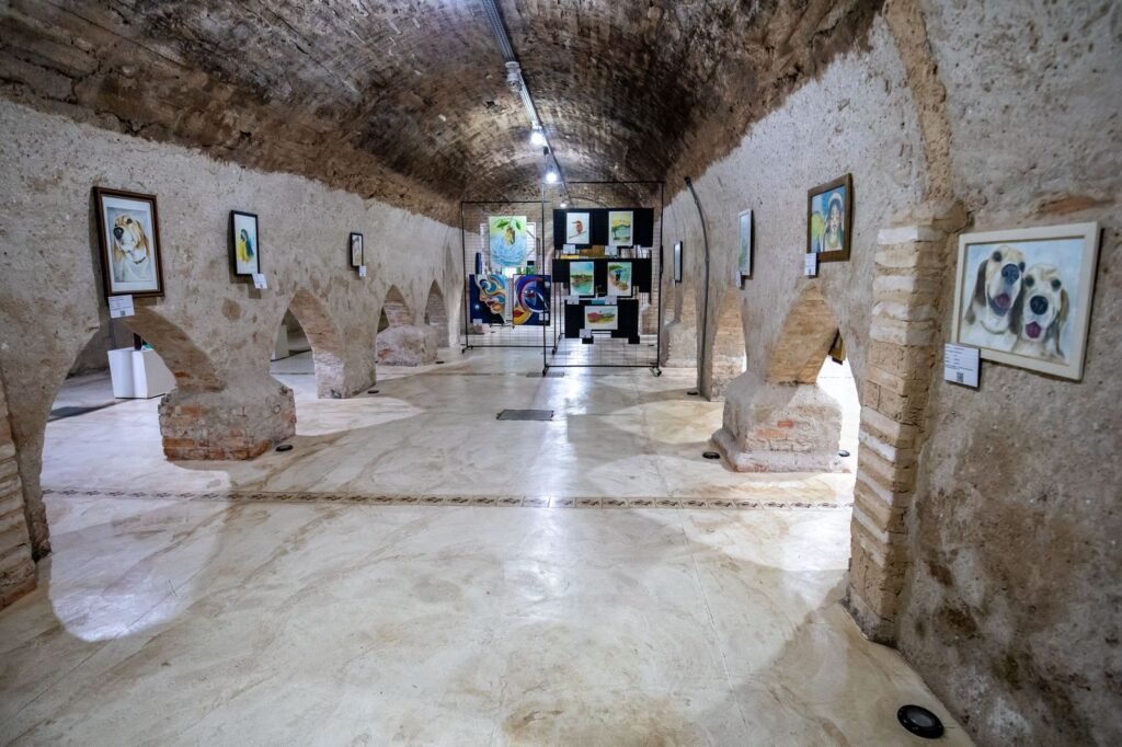 museu 2