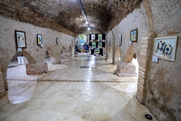 museu 2