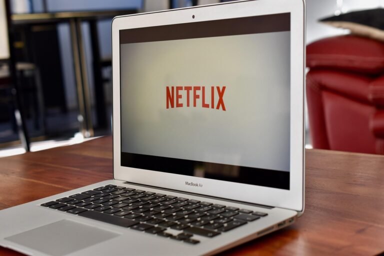 netflix-4011807_1280