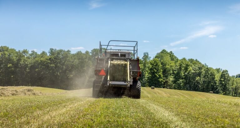 agrishow-maquinas-agricolas-john-deere-massey-ferguson-1