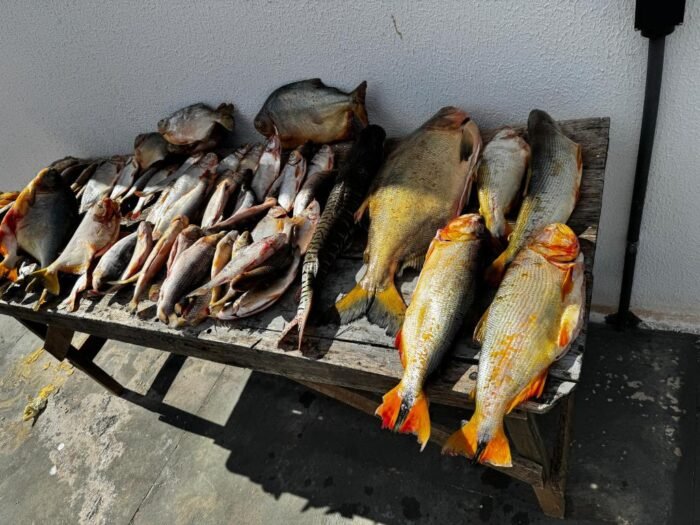 pescado 2