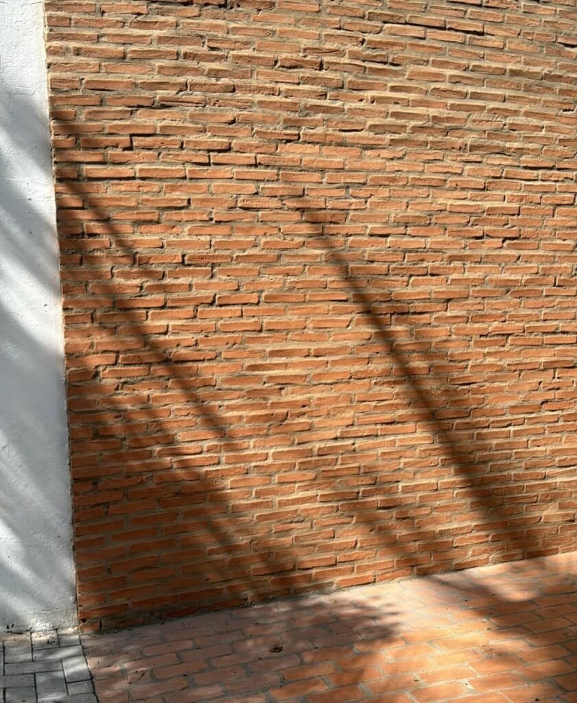 parede-840x1024 Estúdio Rancho 065: o refúgio criativo que fotógrafos e marcas esperavam em Cuiabá