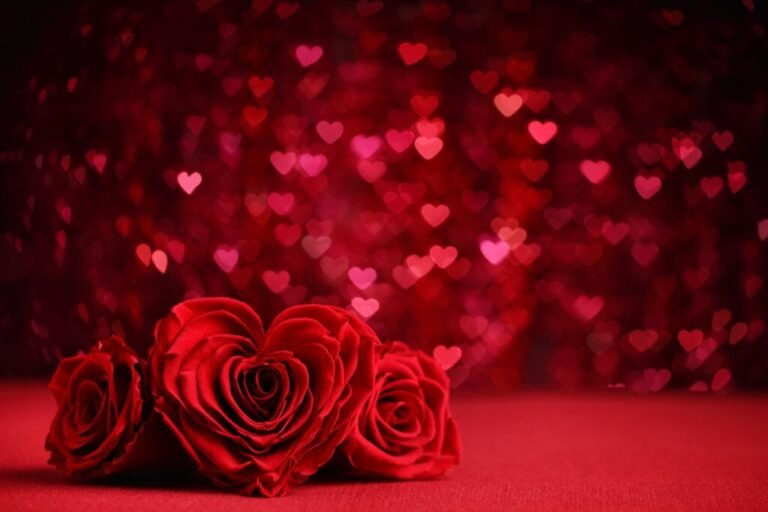 rosas-1024x683