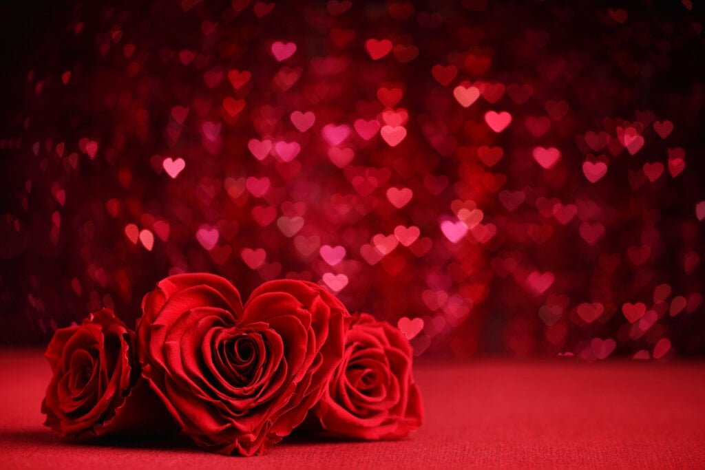 rosas-1024x683