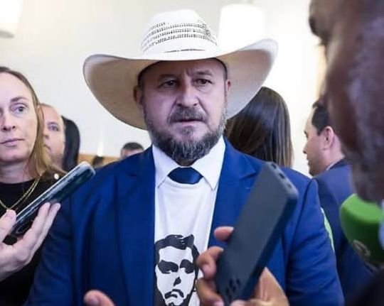 Cattani bolsonaro