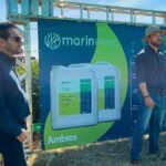 Marin