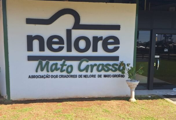 Nelore