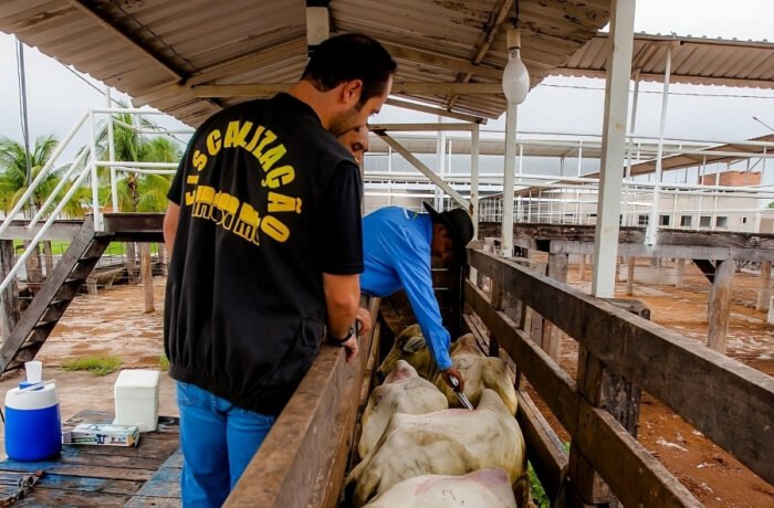 VETERINÁRIO