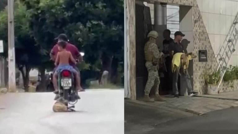 foto-cachorro-arrastado