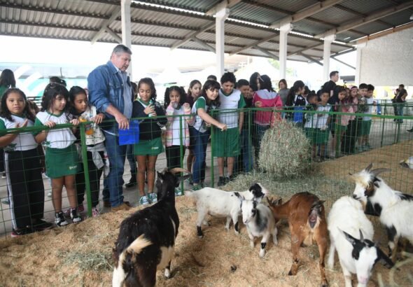 minifazenda12