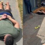 imagem(2)