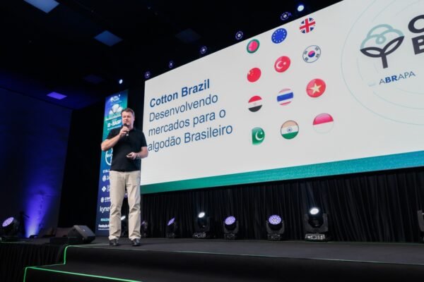 algodão 2