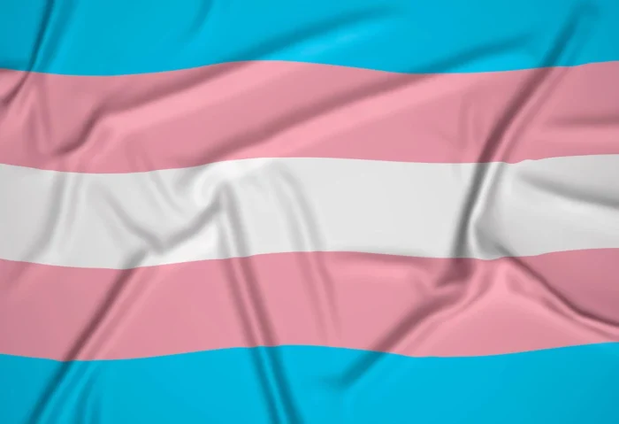 bandeira-do-orgulho-transexual-realista