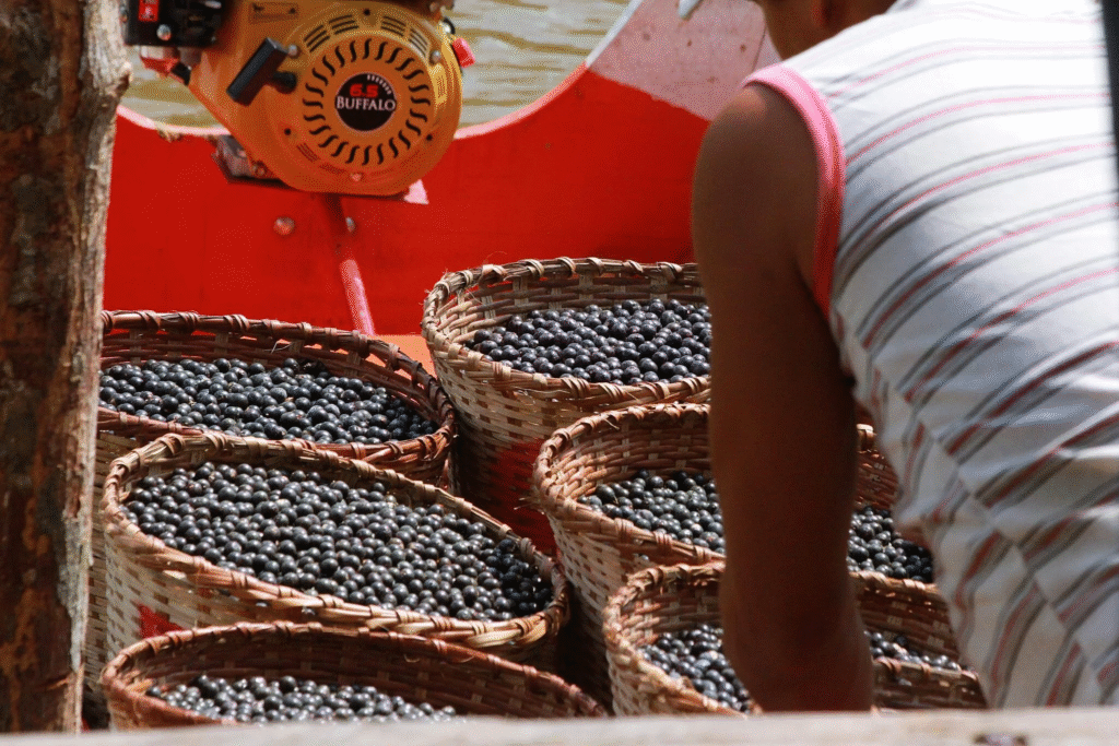 image-488-1024x683 Café feito do caroço do açaí ganha espaço no Brasil