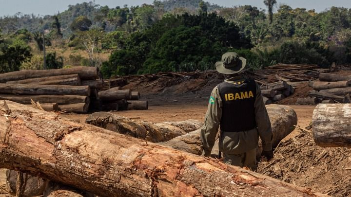 image-524 Justiça anula multa ambiental e extingue execução fiscal de R$ 91 mil