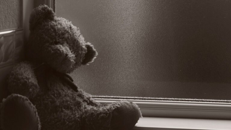 urso_de_pelucia_capa