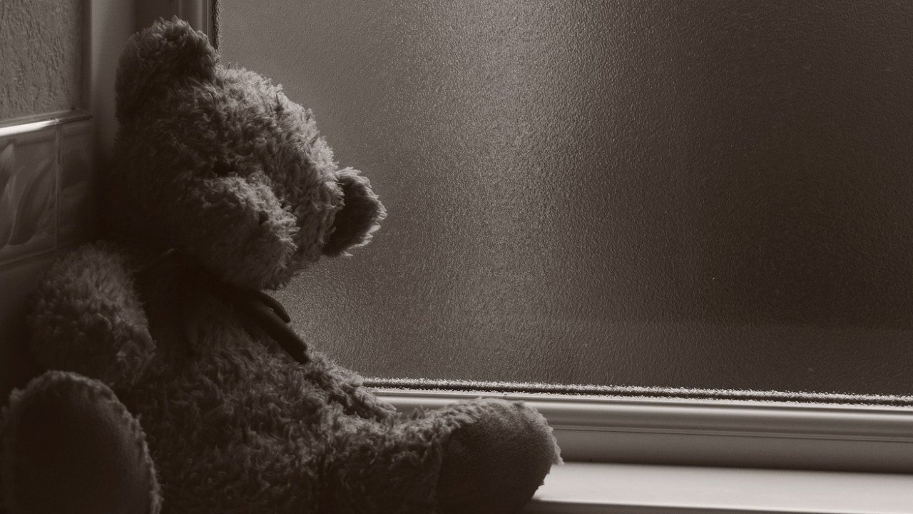 urso_de_pelucia_capa