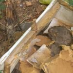 4e8c635dc217835257c879b41e291af1-midiajur-com-br