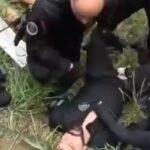 Captura de tela_29-10-2025_85148_web.whatsapp.com