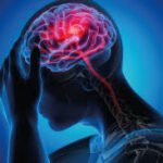 WhatsApp Image 2025-10-28 at 15.31.00