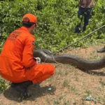 WhatsApp-Image-2025-10-29-at-08.26.49