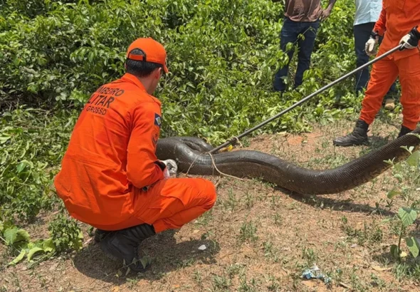 WhatsApp-Image-2025-10-29-at-08.26.49