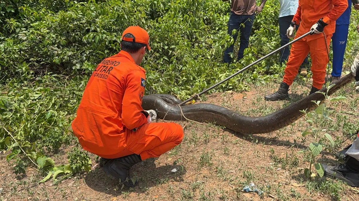 WhatsApp-Image-2025-10-29-at-08.26.49