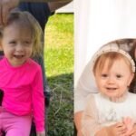 WhatsApp Image 2025-10-29 at 09.51.16