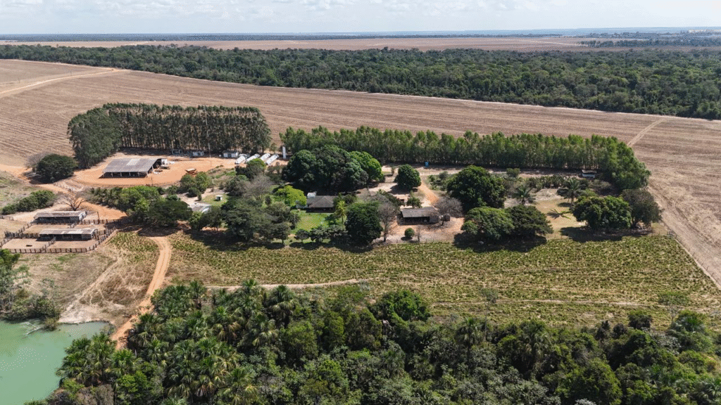 image-374-1024x576 CAT Sorriso recebe reconhecimento nacional do MAPA por boas práticas agrícolas