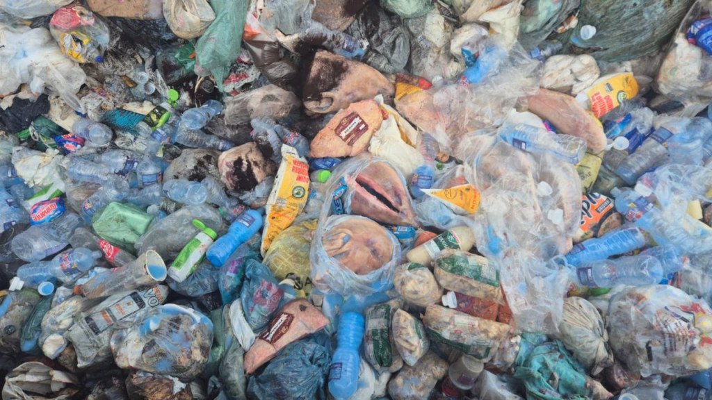 014b45826f210bdca763c90f10832a24