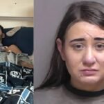 19fpgizgnw2oidv5zvbk67uqh