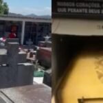 BeFunky-collag_______________-64-1