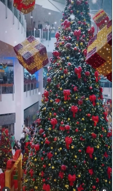 Captura de tela_4-11-2025_10586_www.instagram.com