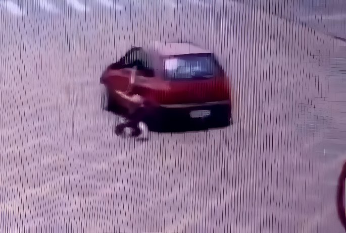 WhatsApp Image 2025-11-11 at 13.34.27