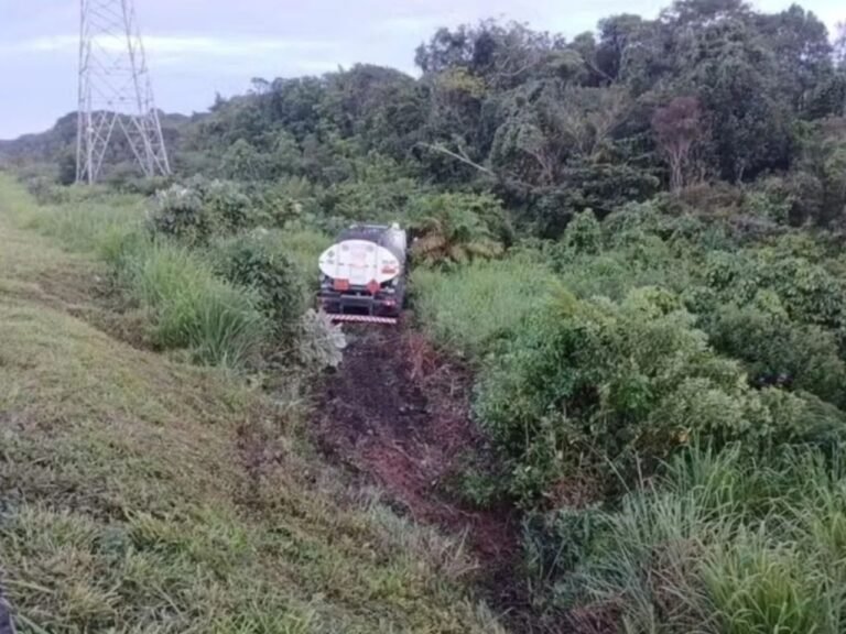 BACCI-SITE-2025-12-04T000644.464