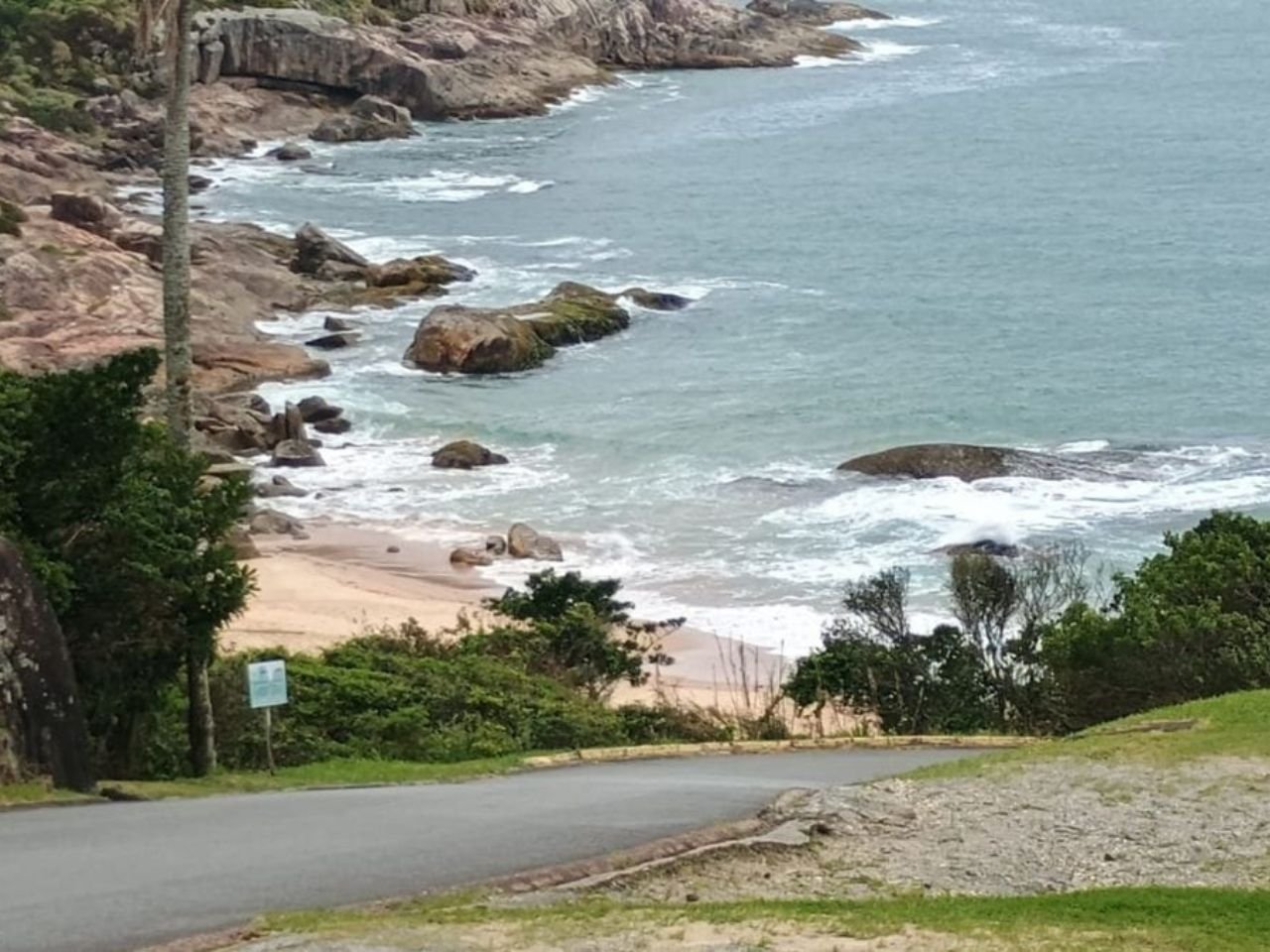 BACCI-SITE-2025-12-30T192410.405