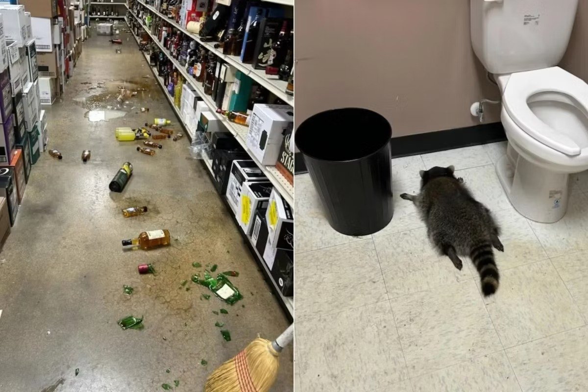 WhatsApp Image 2025-12-04 at 11.09.26