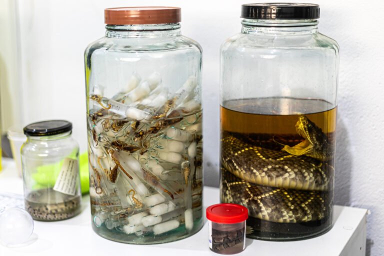 2025-01-20-17-37-088a2462-678ec22b4723a