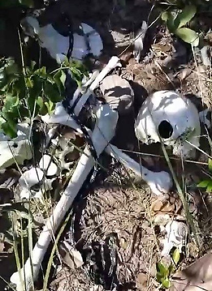 6342ddbb85507a749fb3c13a86ffb8a9-hnt-com-br