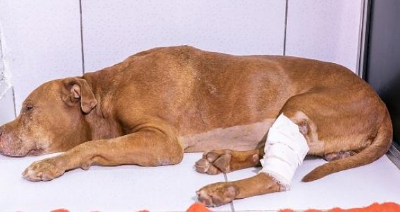 Captura de tela_9-1-2026_74036_www.reportermt.com