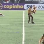 Reproducao-e1768151759160