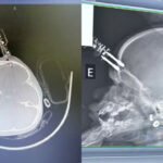 Untitled-Project-39-1