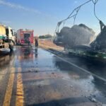 WhatsApp Image 2024-08-08 at 12.35.40 (1)