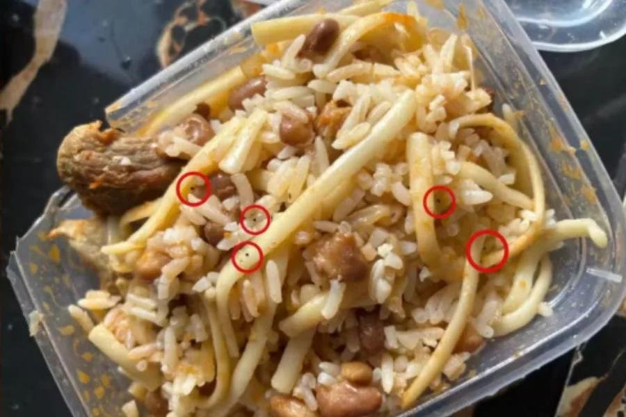 WhatsApp-Image-2026-01-08-at-14.59.31