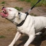 WhatsApp-Image-2026-01-14-at-16.02.13