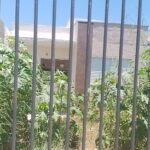 d882e1c478d4d79d51d16f15bad23ac3-midiajur-com-br (1)