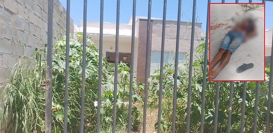 d882e1c478d4d79d51d16f15bad23ac3-midiajur-com-br (1)